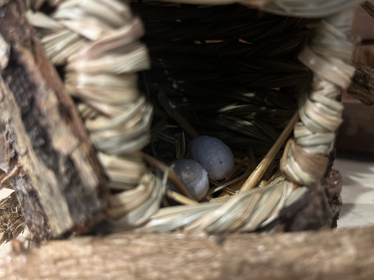 Uccelliera da appendere